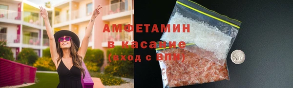 стаф Аркадак