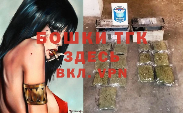 стаф Аркадак