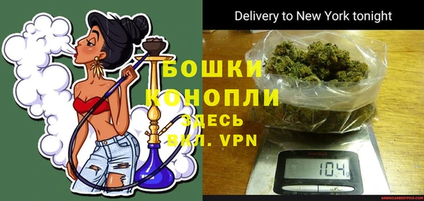 стаф Аркадак