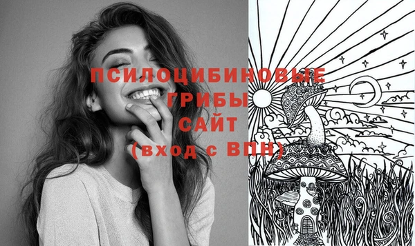 стаф Аркадак
