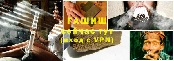 стаф Аркадак