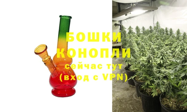 стаф Аркадак