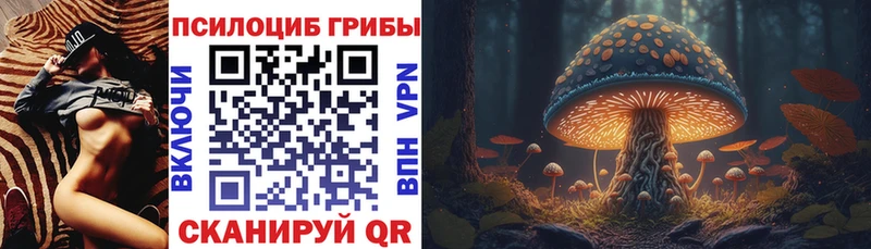 Псилоцибиновые грибы прущие грибы  Покачи 